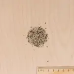 Potagères - Mesclun - MEDIA_3D